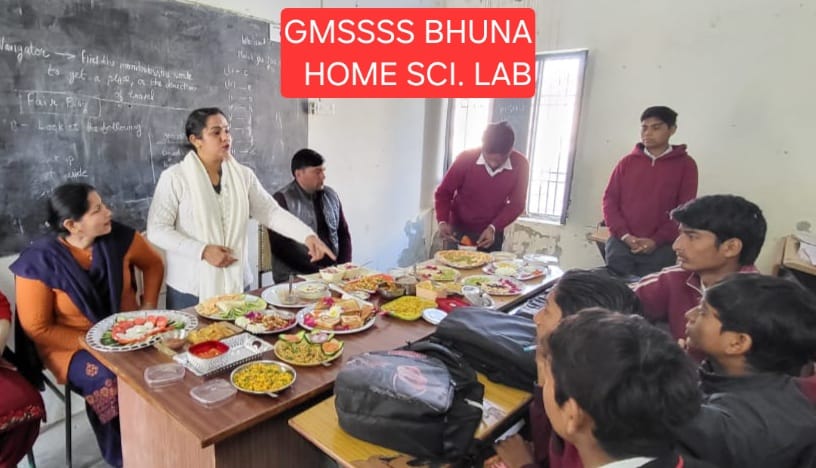 Govt. Model Sanskriti Senior Secondary School Bhuna campus and activities