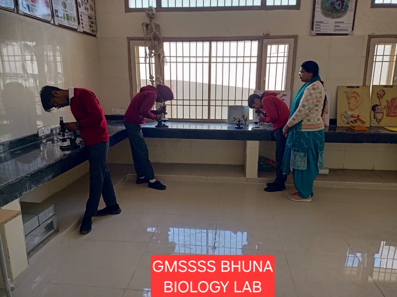 Govt. Model Sanskriti Senior Secondary School Bhuna campus and activities